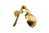 B&M - Solid Brass Bumble Bee Door Knocker Polished Brass Supplied with Matching Fixing Screws