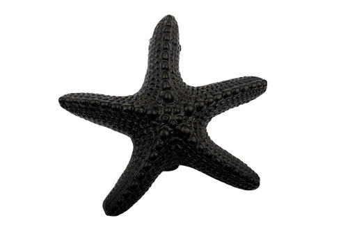 Antique Black Star Fish Door Knocker Supplied with Matching Fixing Screws