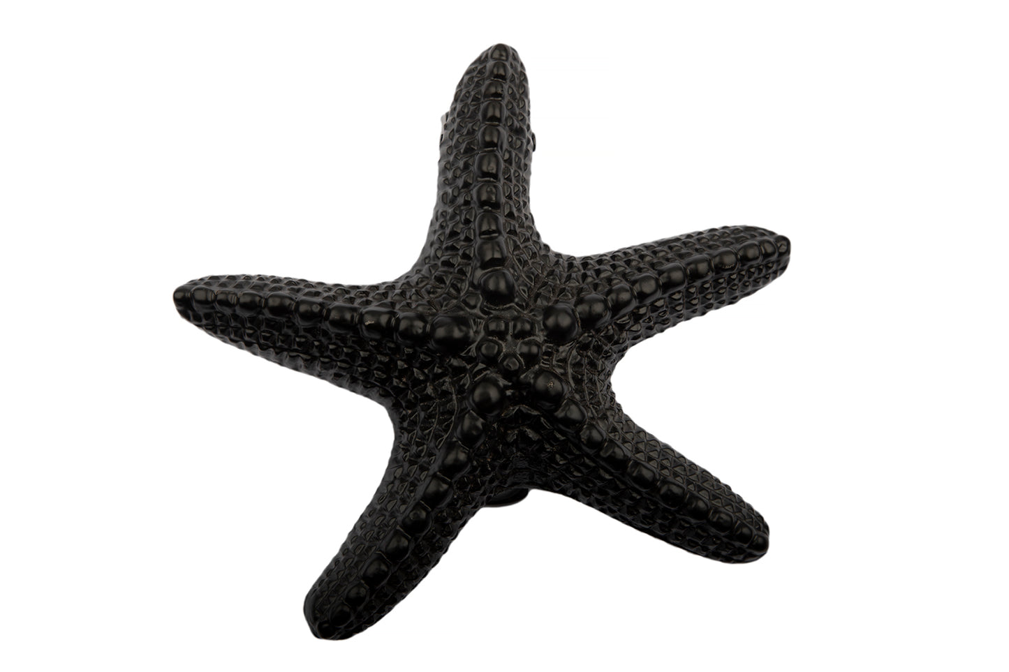 Antique Black Star Fish Door Knocker Supplied with Matching Fixing Screws